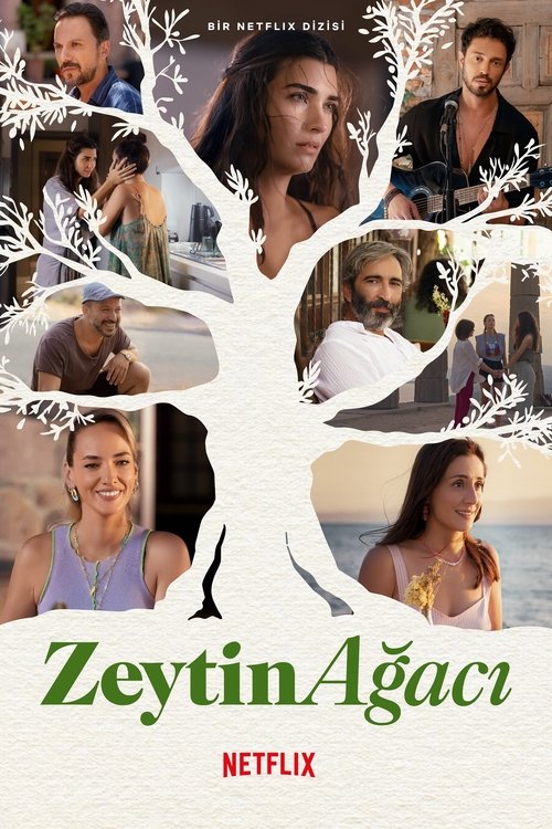 Film: Zeytin Ağacı